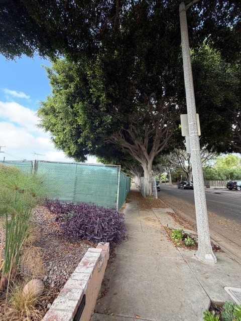 Sidewalk trees and construction fencing near 2958 Delaware Avenue